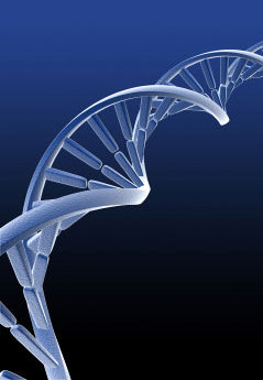 dna-double-helix-image