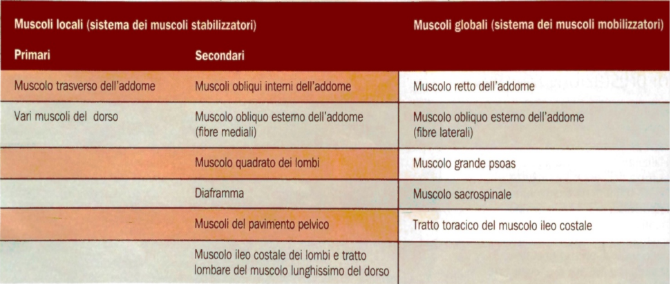 articolo-core-stabolity-1