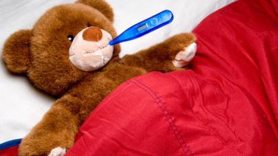 bear-flu