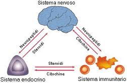 psicoimmunologia