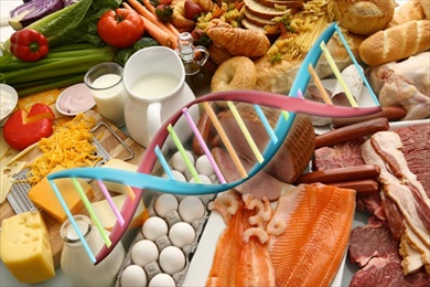 nutrigenomica1