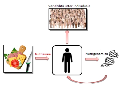 nutrigenomica nutrigenetica1